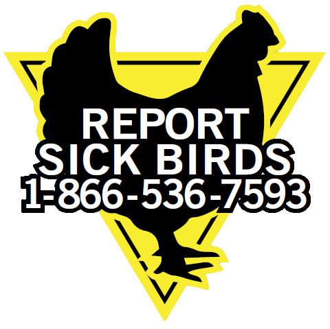 Report Sick Birds 1-866-536-7593